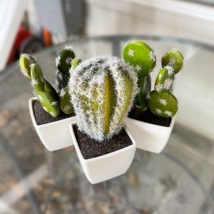 3-Set Faux Cactus Succulents